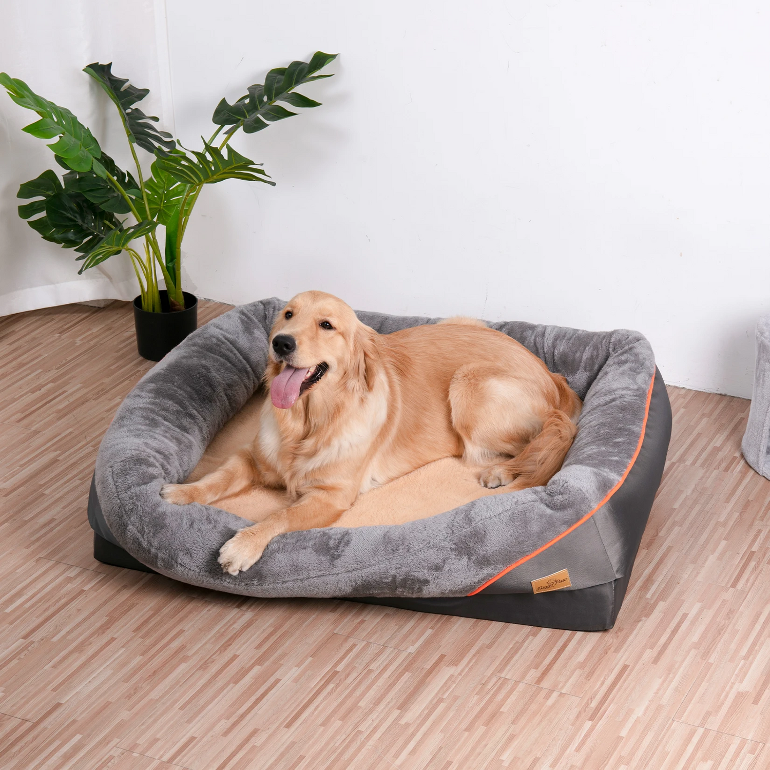 Comfort & Care: Dog Bed Collection