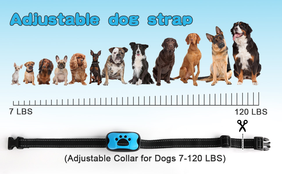 Smart No Shock Anti-Bark Collar - Gentle, Effective Training for Dogs of All Sizes