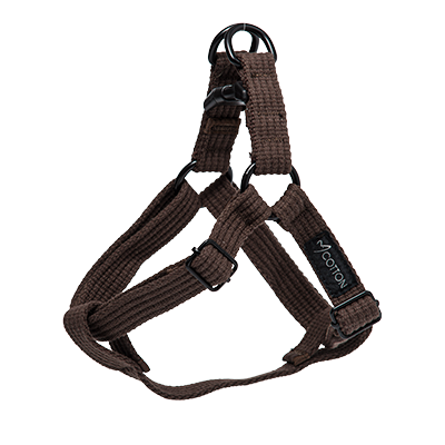 Cotton Harness