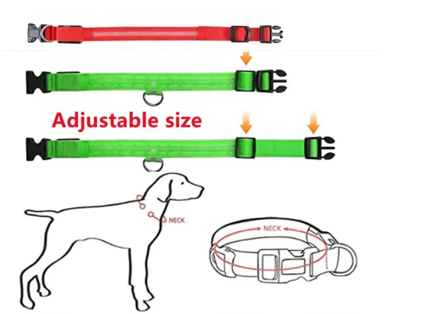 USB Rechargeable LED Pet Collar – Night Visibility for Safety & Style