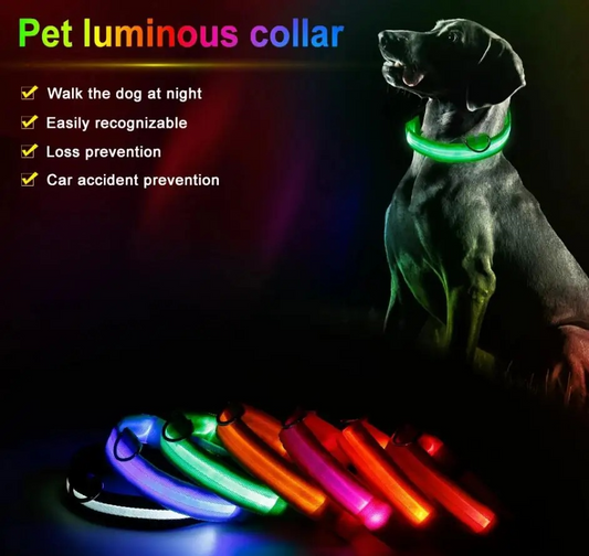 USB Rechargeable LED Pet Collar – Night Visibility for Safety & Style