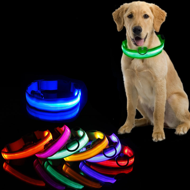 Light Up Dog Collar, LED Dog Collar Lights for the Dark, Rechargeable and Waterproof Flashing Dog Collars with 3 Glowing Modes, Adjustable Pet Collar for Small/Medium/Large Dog