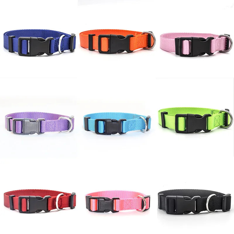 Durable Nylon Dog Collar - Classic Adjustable Collar for Small, Medium, and Large Dogs in 4 Sizes and 7 Colors