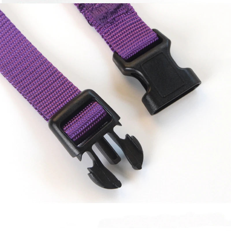 Durable Nylon Dog Collar - Classic Adjustable Collar for Small, Medium, and Large Dogs in 4 Sizes and 7 Colors