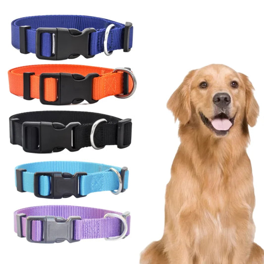 Durable Nylon Dog Collar - Classic Adjustable Collar for Small, Medium, and Large Dogs in 4 Sizes and 7 Colors