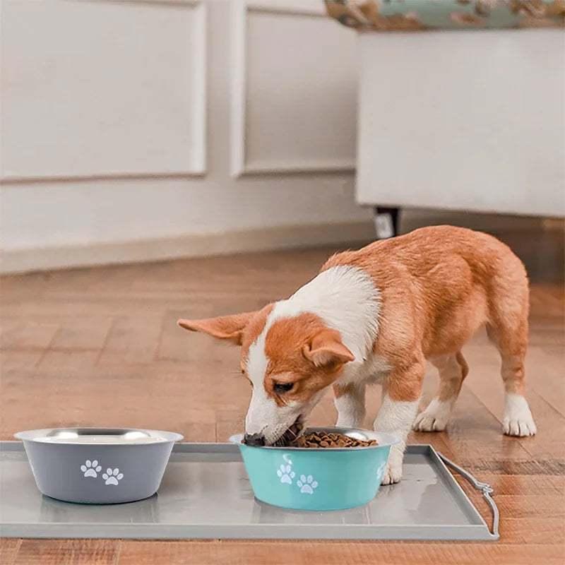 Non-Slip Stainless Steel Dog Bowls (2-Pack) with Silicone Base, Durable Food & Water Bowls for Medium & Large Dogs – Blue & Grey