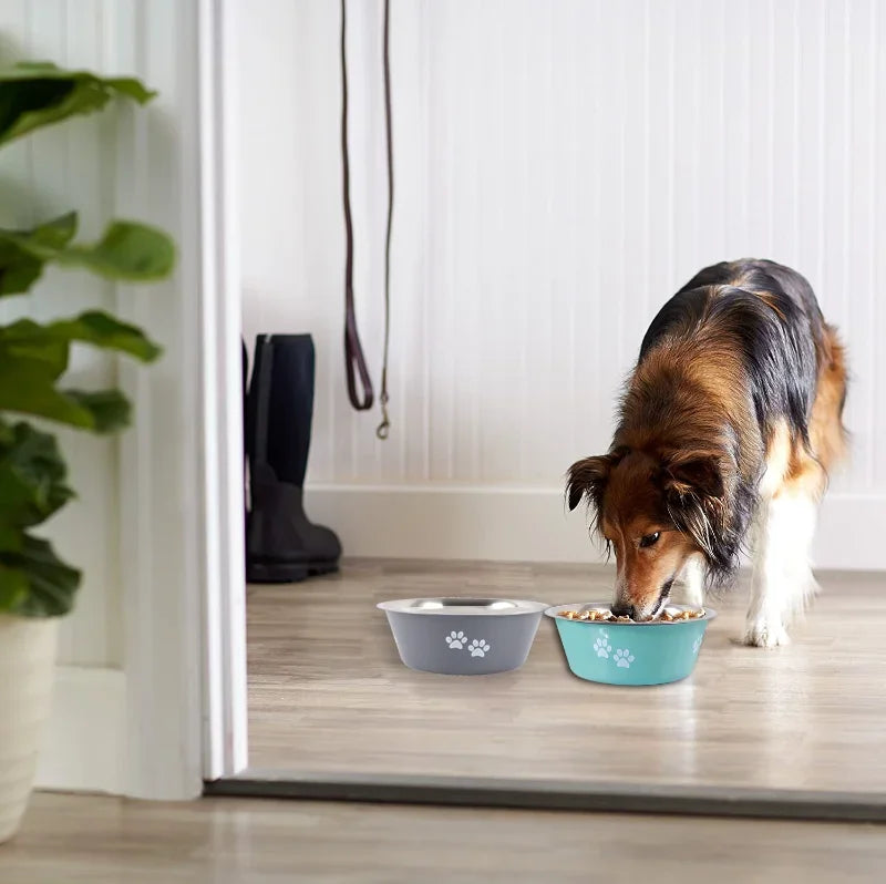 Non-Slip Stainless Steel Dog Bowls (2-Pack) with Silicone Base, Durable Food & Water Bowls for Medium & Large Dogs – Blue & Grey