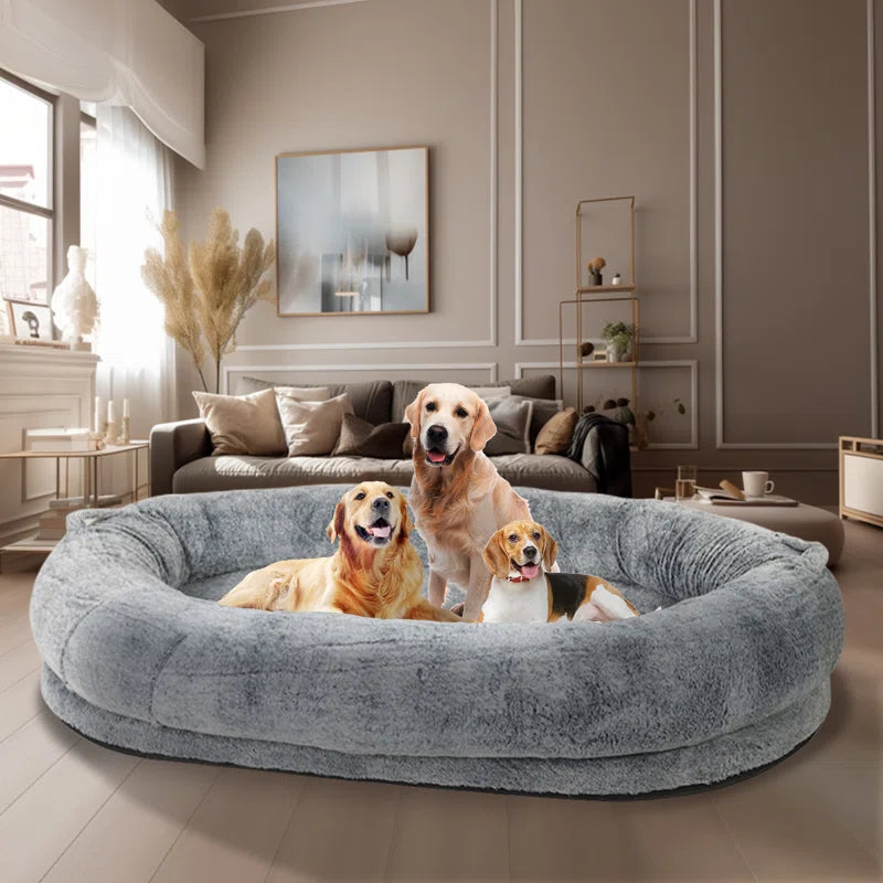 Human-Size Dog Bed