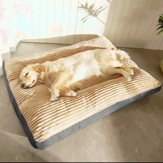 Dog Soft Cushion Bed