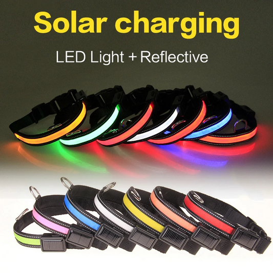 Solar + USB Charging LED Dog Collar – Stay Safe, Stay Seen! 🌟